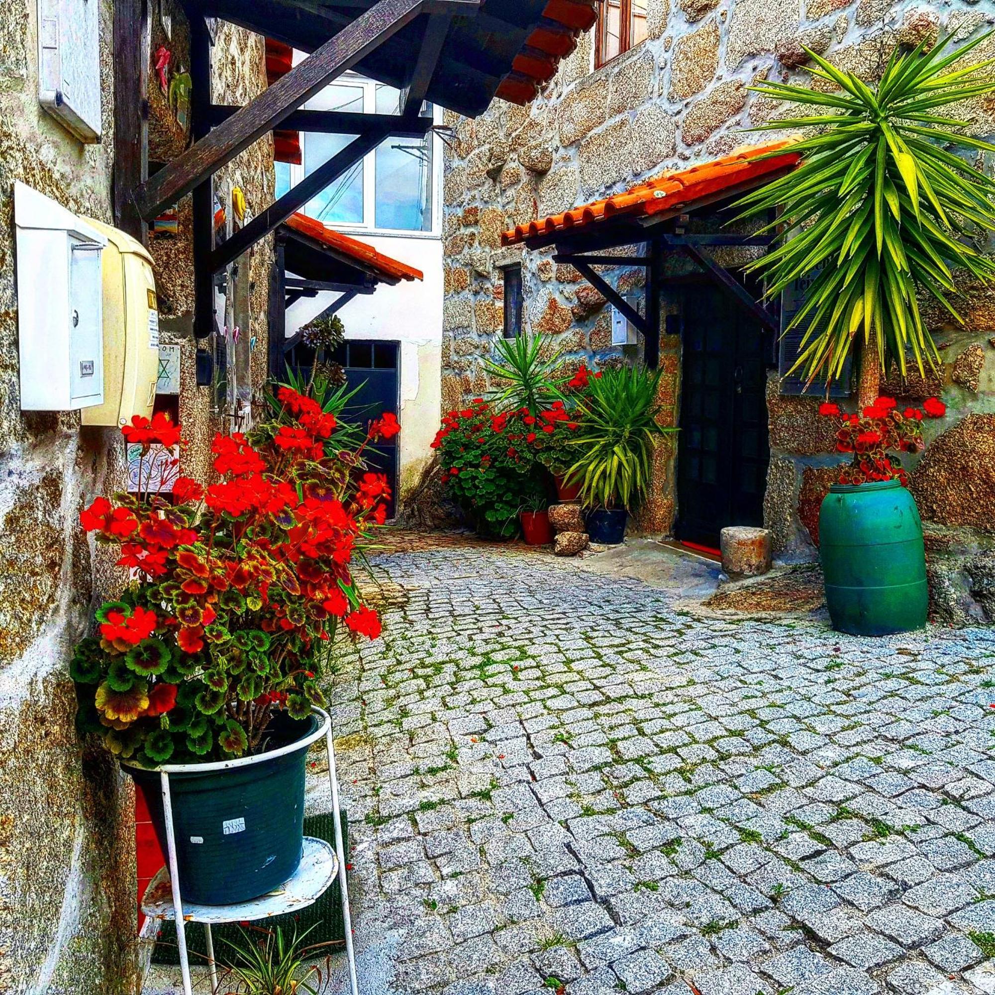 Jose Domingos Vila Belmonte  Exterior foto