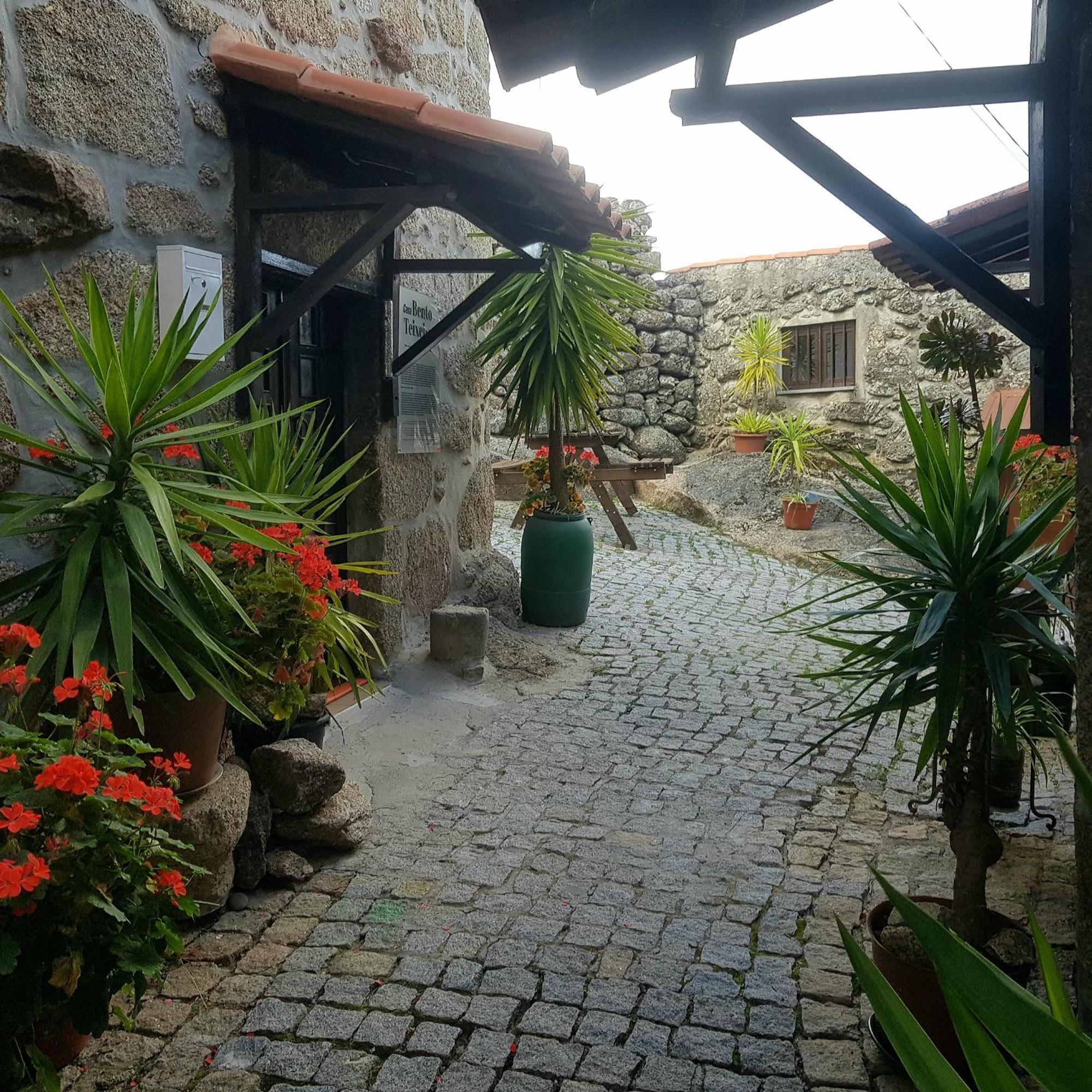 Jose Domingos Vila Belmonte  Exterior foto