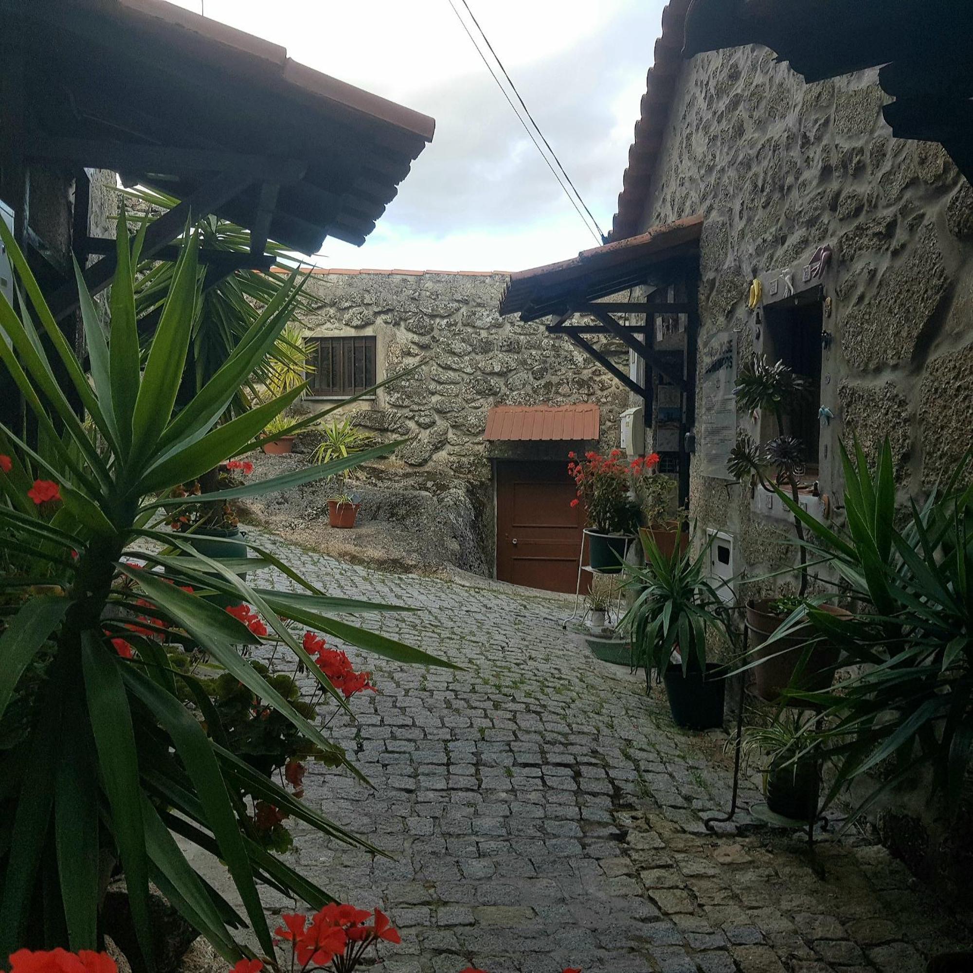 Jose Domingos Vila Belmonte  Exterior foto