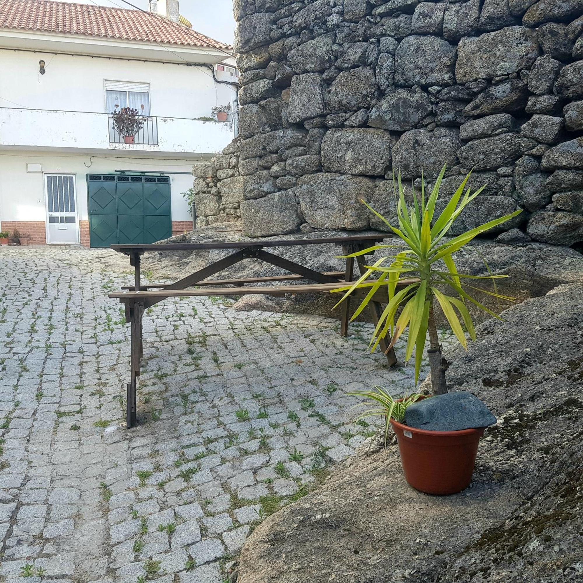 Jose Domingos Vila Belmonte  Exterior foto